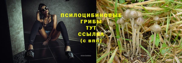 гидра Абинск